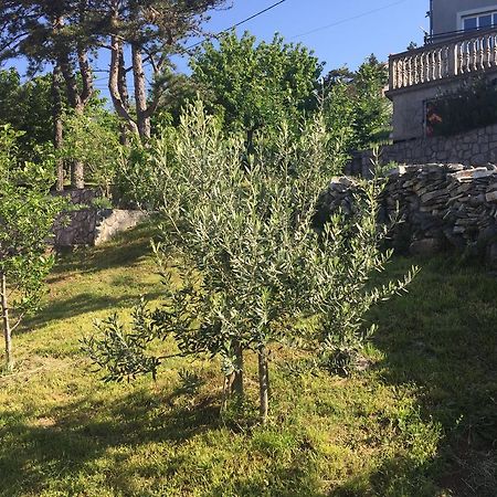 Apartment Galjanic Buzdohanj Buitenkant foto