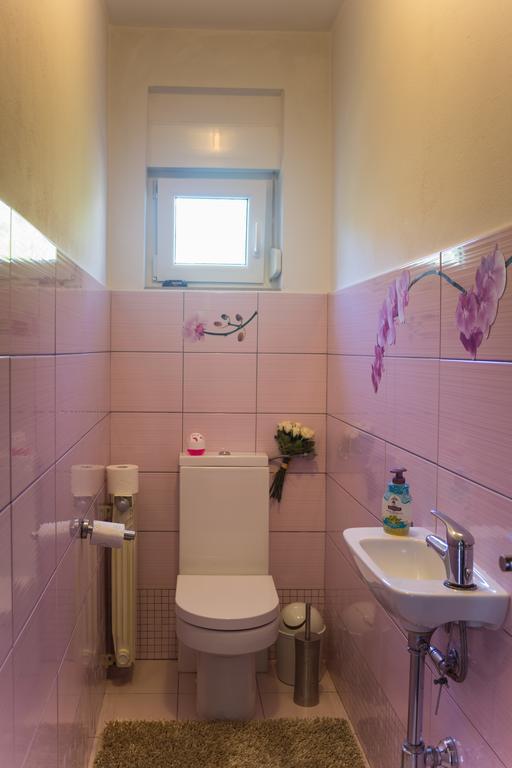 Apartment Galjanic Buzdohanj Kamer foto